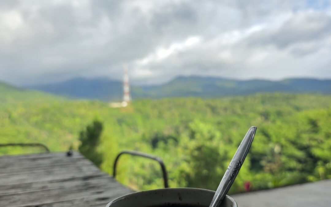 Glamping Sukabumi: Secangkir Kopi, Udara Segar, dan Waktu untuk Melepas Penat